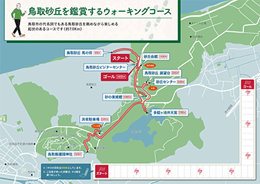 鳥取県のウォーキングコース Copd 慢性閉塞性肺疾患 に関する情報サイト